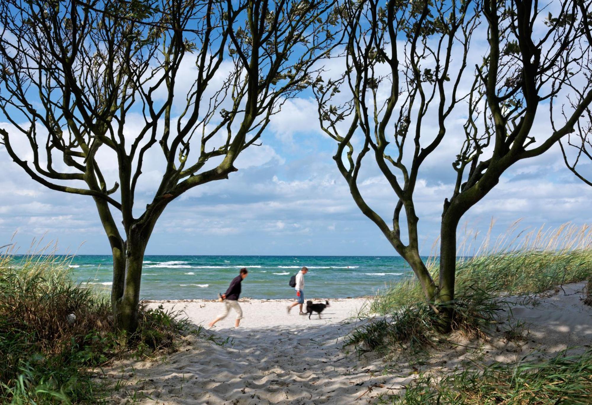 Reetdachhaus Hus Kieker Βίλα Insel Poel Εξωτερικό φωτογραφία